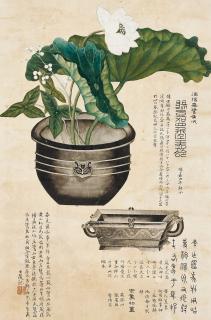 Huang Shiling - Flowers And Vessels Rubbings