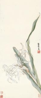 Huang Shiling - Orchid