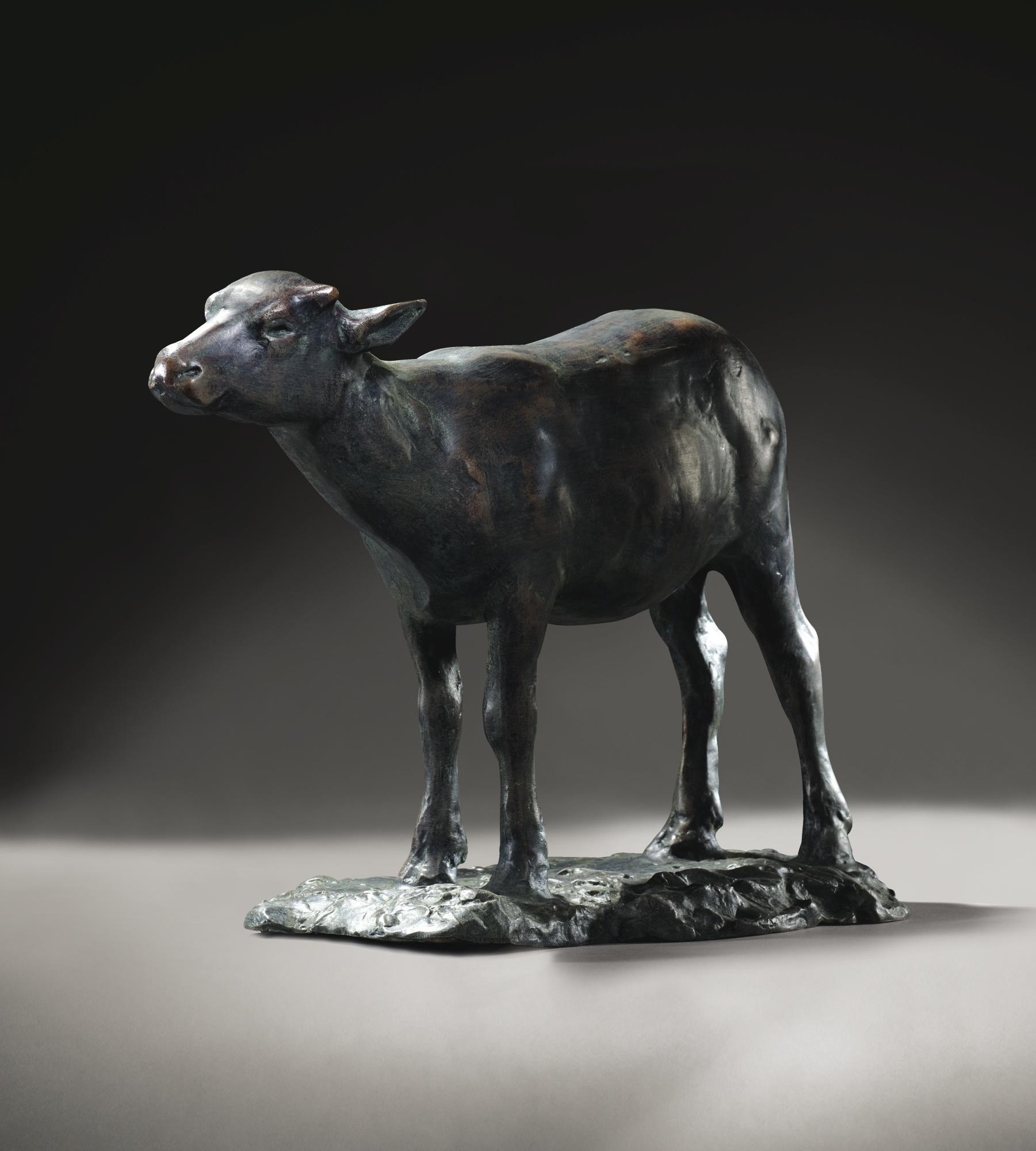 Huang Tu-Shui - Calf