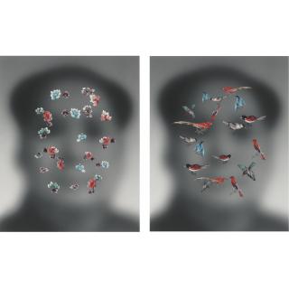 Huang Yan - Dream Mao Bird; And Dream Mao Flower