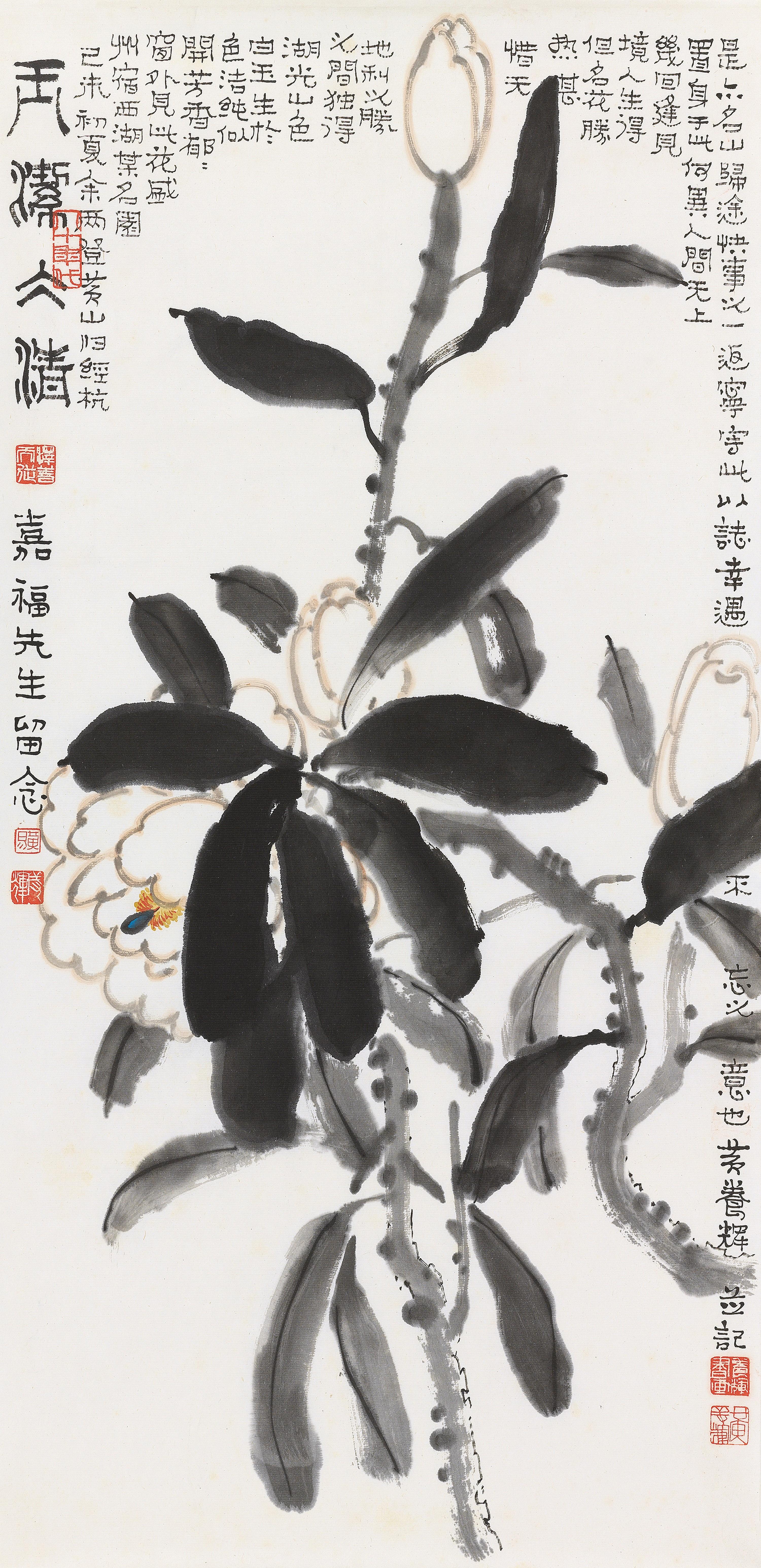 Huang Yanghui - Lotus