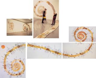 Huang Yong Ping - Le carte du Monde