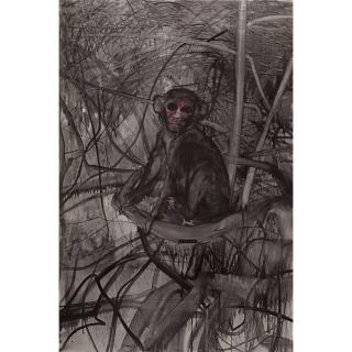 Huang Yuxing - Life History In Changing