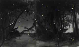 Huang Yuxing - Transient History Of Life (Diptych)