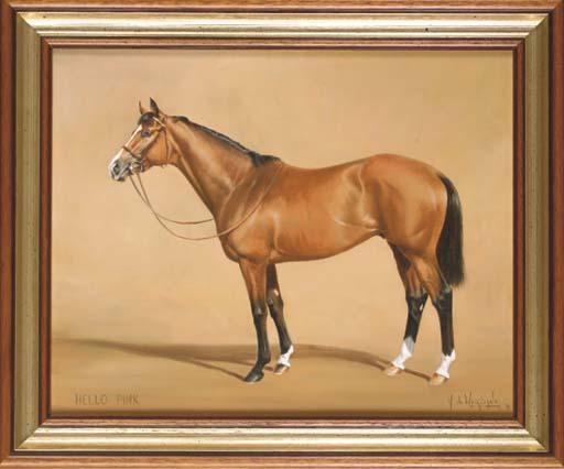 Hubert de Watrigant - Hello Pink