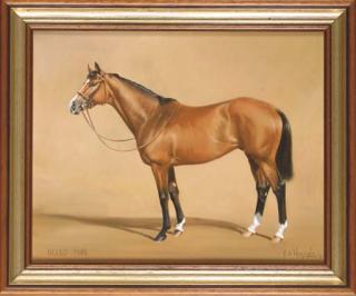 Hubert de Watrigant - Hello Pink