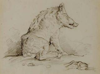 Hubert Robert - A Wild Boar