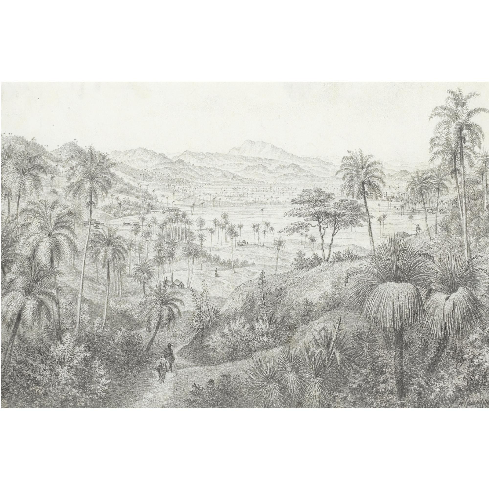 Hubert Sattler - View Of The Yumuri Valley, Near Matanzas, Cuba