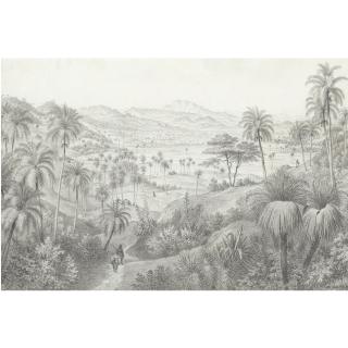 Hubert Sattler - View Of The Yumuri Valley, Near Matanzas, Cuba