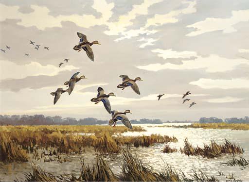 Hugh C. Monahan - Morning flight