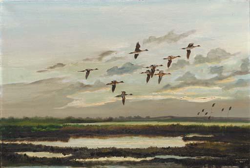 Hugh C. Monahan - Pintail, Lough Gara, Co. Sligo (illustrated); and Greylags, Lough Gara