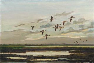 Hugh C. Monahan - Pintail, Lough Gara, Co. Sligo (illustrated); and Greylags, Lough Gara
