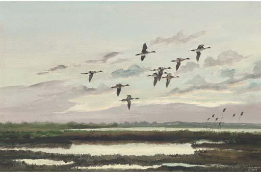 Hugh C. Monahan - Pintails, Lough Gara, Co. Sligo; And Greylags, Lough Gara