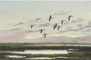 Hugh C. Monahan - Pintails, Lough Gara, Co. Sligo; And Greylags, Lough Gara