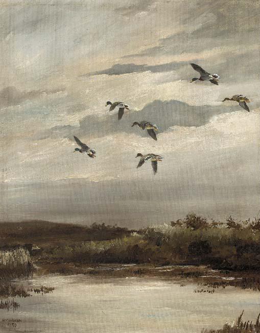 Hugh C. Monahan - Widgeon in flight; and Mallard in flight