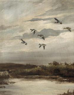 Hugh C. Monahan - Widgeon in flight; and Mallard in flight