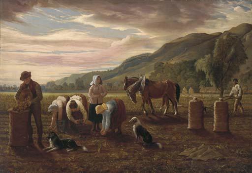 Hugh Collins - The potato pickers