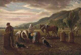 Hugh Collins - The potato pickers