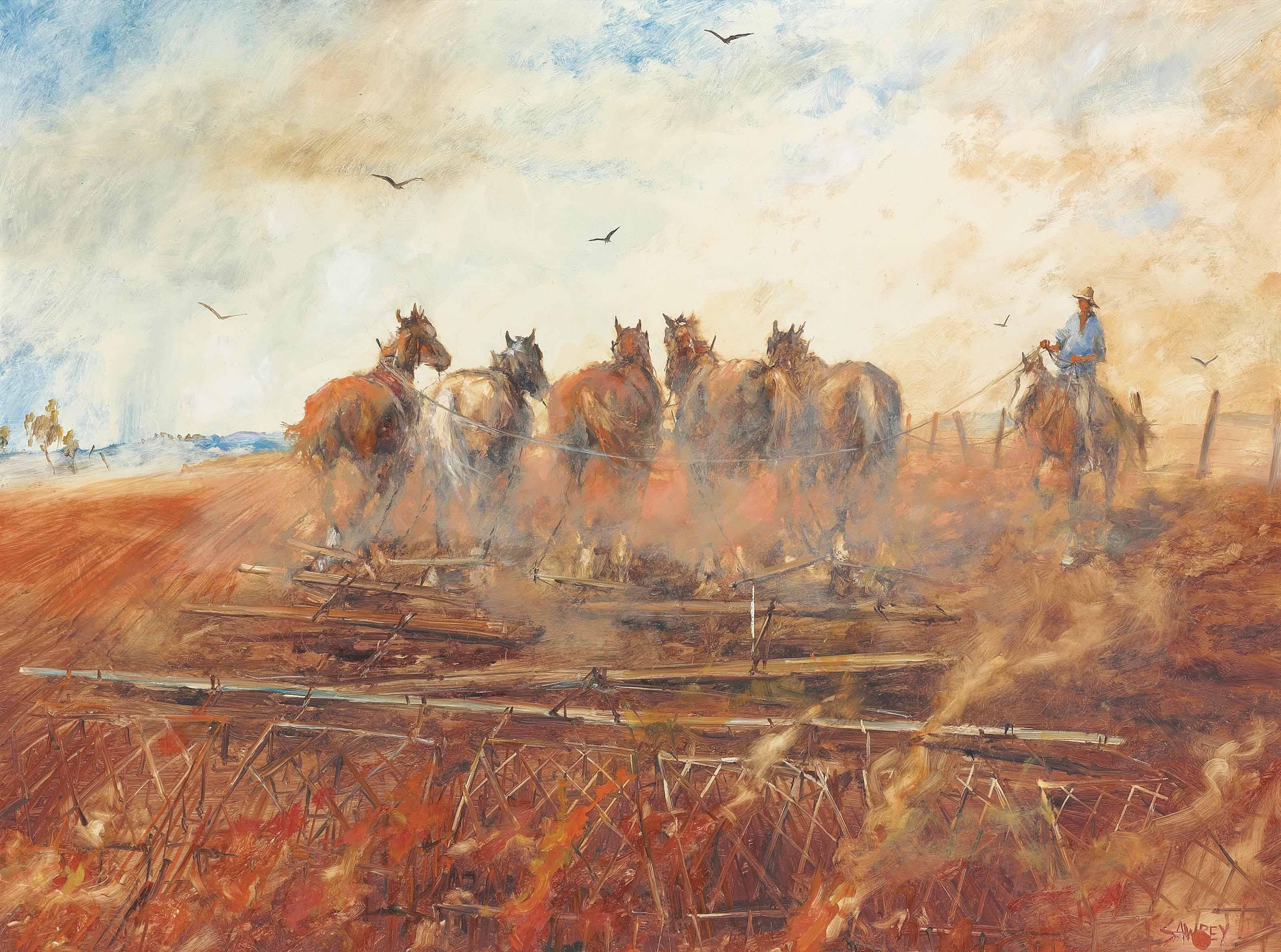 Hugh David Sawrey - The Fire Harrowing Team, Queensland