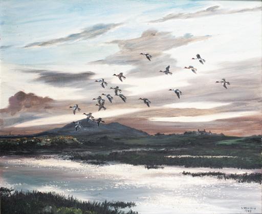 Hugh Monahan - Mallard in Flight