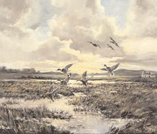 Hugh Monahan - Mallards Coming Into Land, Late Afternoon