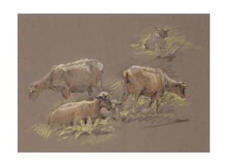 Hugh Newell - Sketch of sheep grazing; and a companion work
