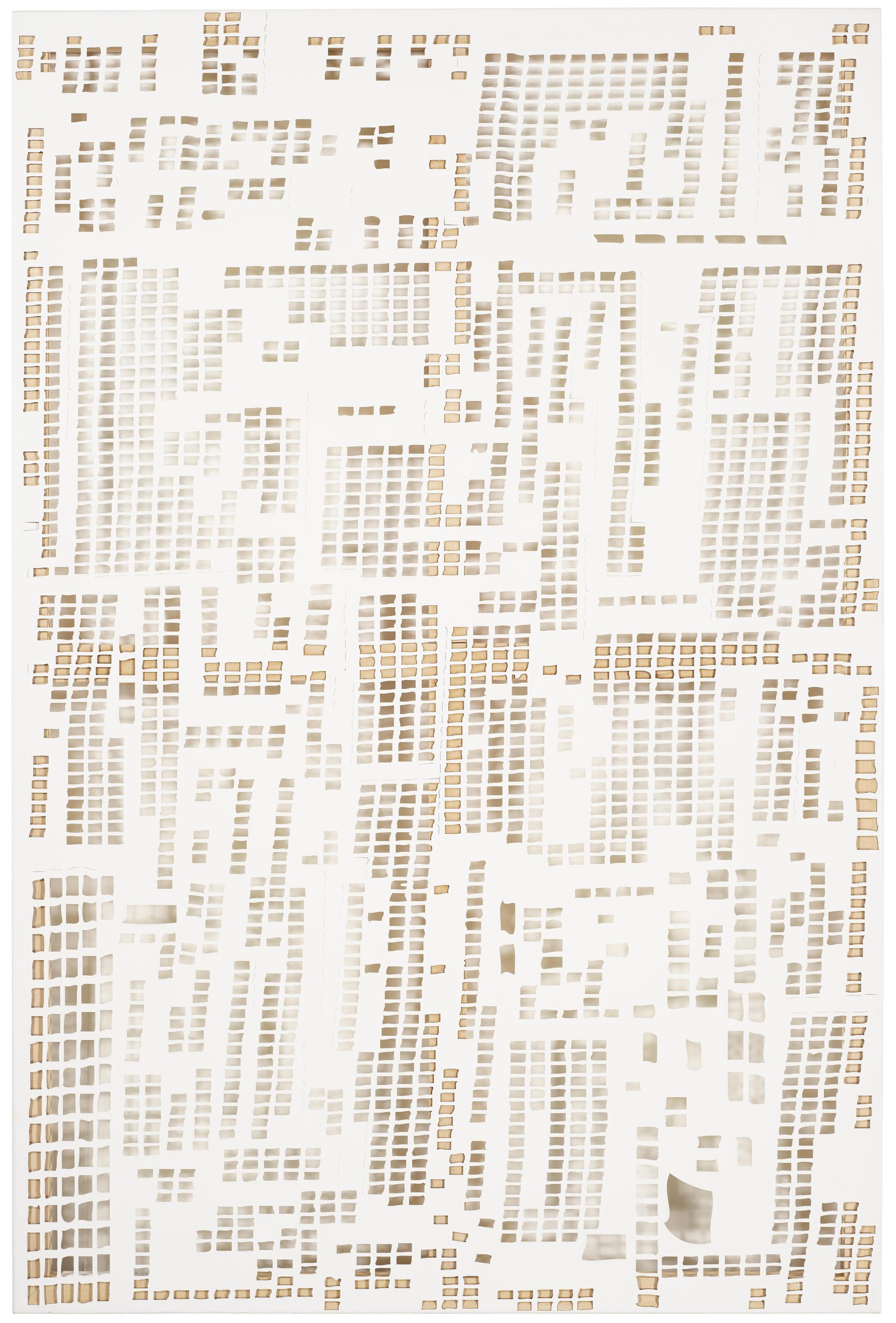 Hugh Scott-Douglas - Untitled (Torn Cheque)