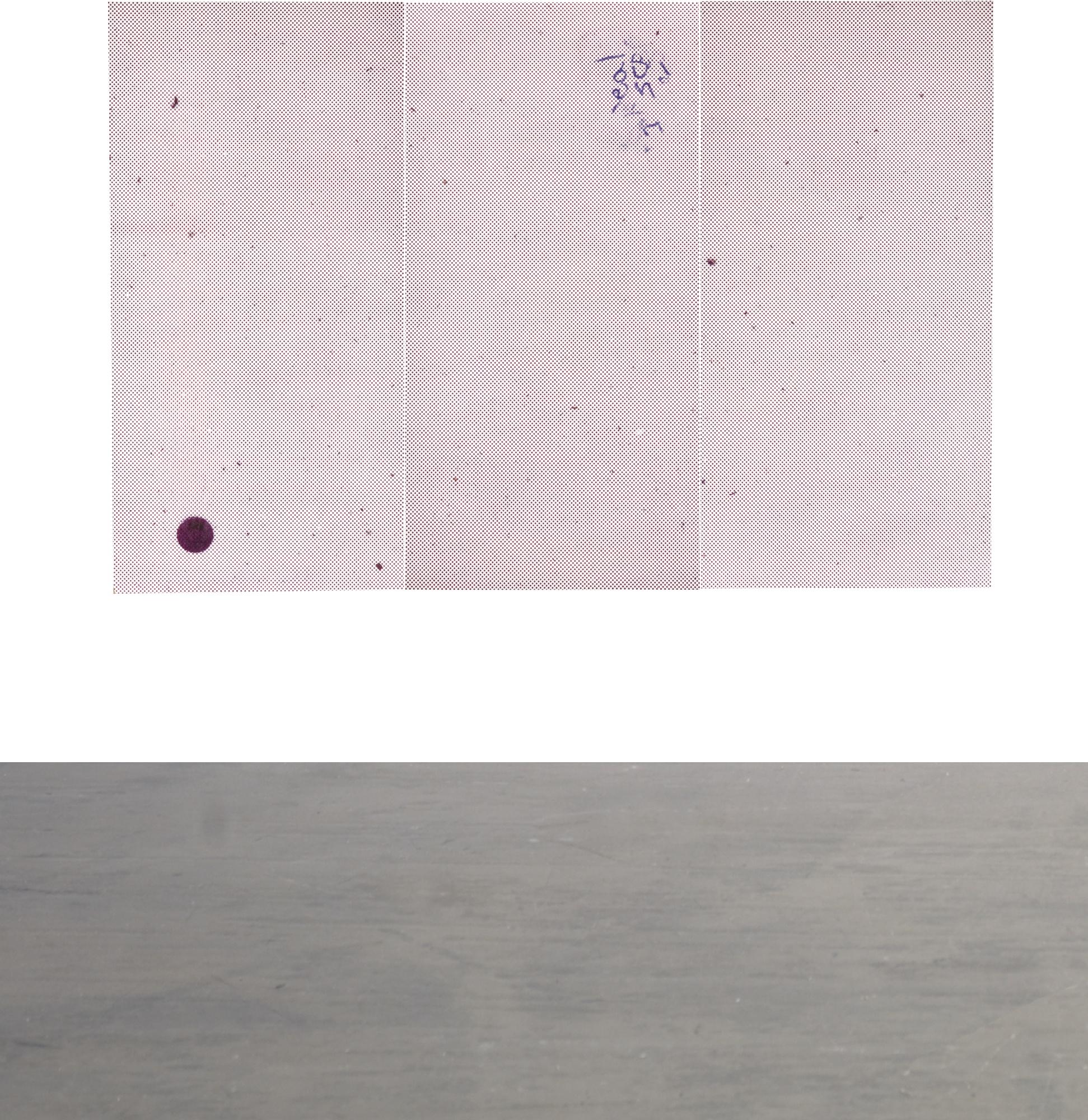 Hugh Scott-Douglas - Untitled