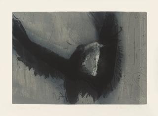 Hughie O\'Donaghue - Crow; Crow II