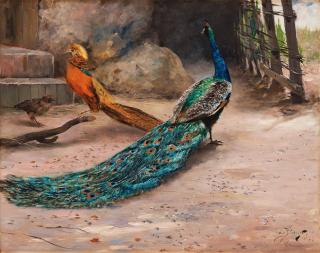 Hugo Birger - Peacock, thrush and Golden Pheasant