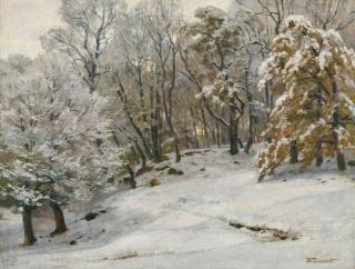 Hugo Darnaut - Austrian winterlandschaft (A Winter\'S Day)