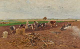 Hugo Mühlig - Kartoffelernte am Niederrhein.