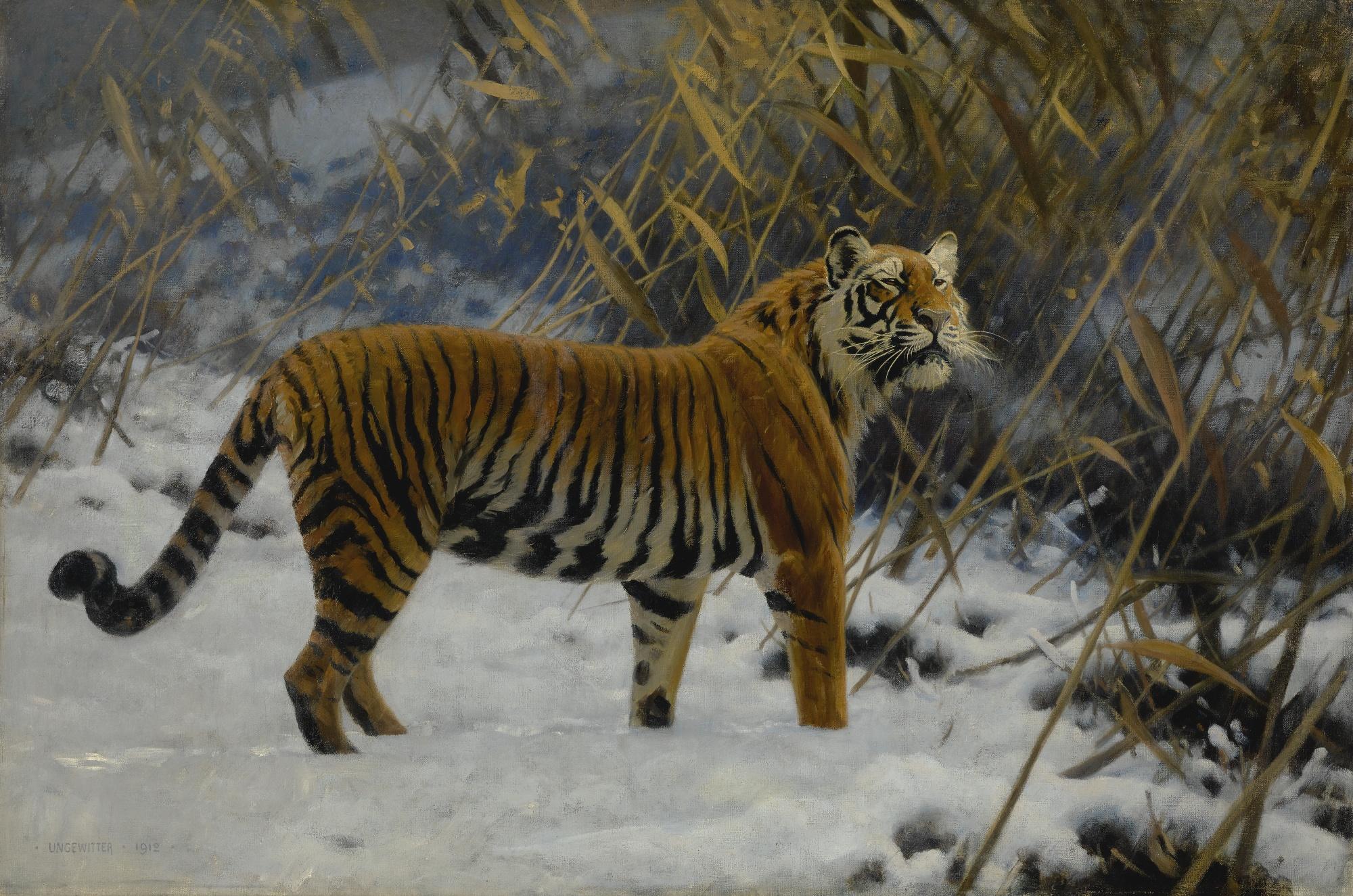 Hugo Ungewitter - German a Tiger Prowling In The Snow