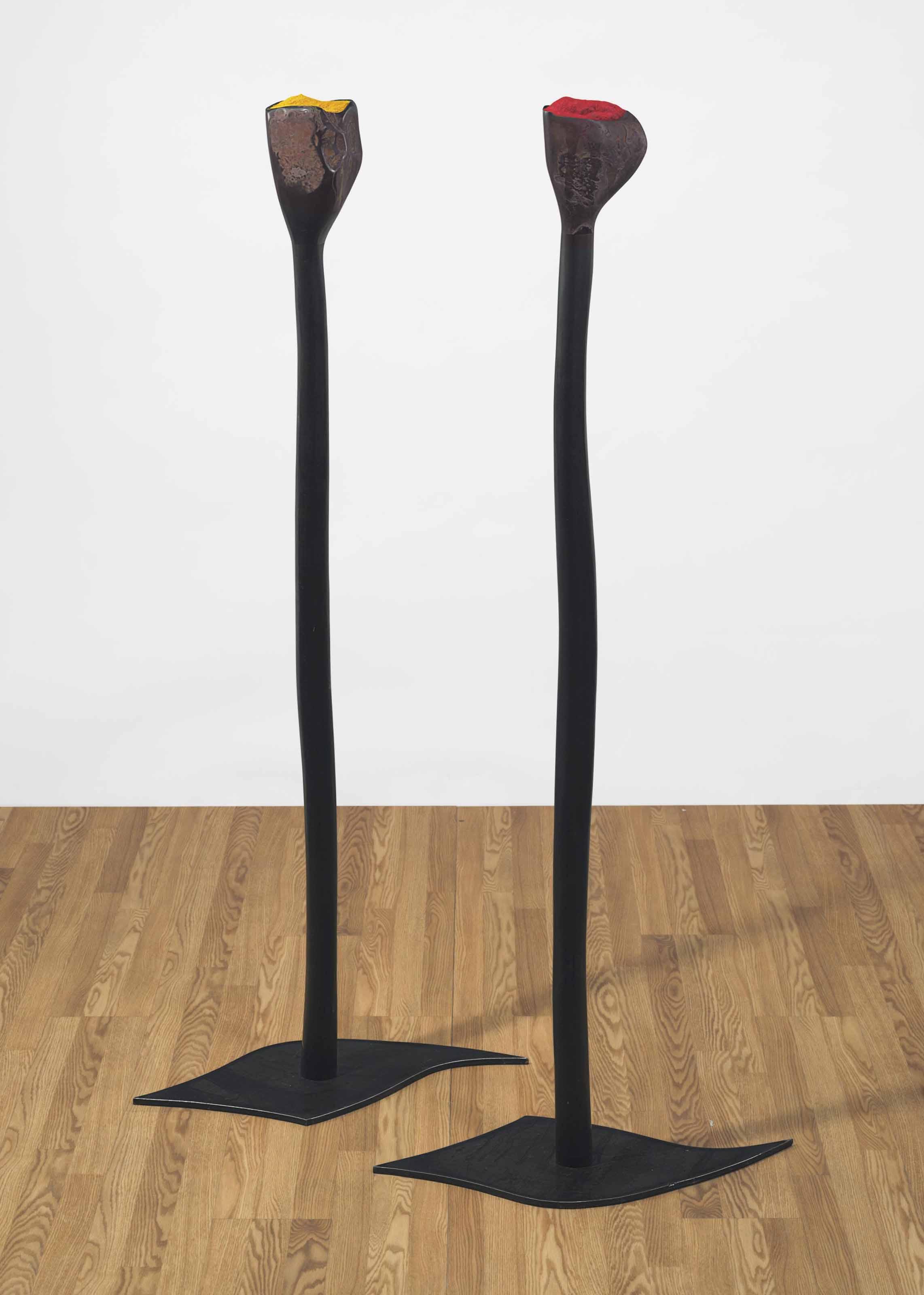 Hugo Zapata - Flores