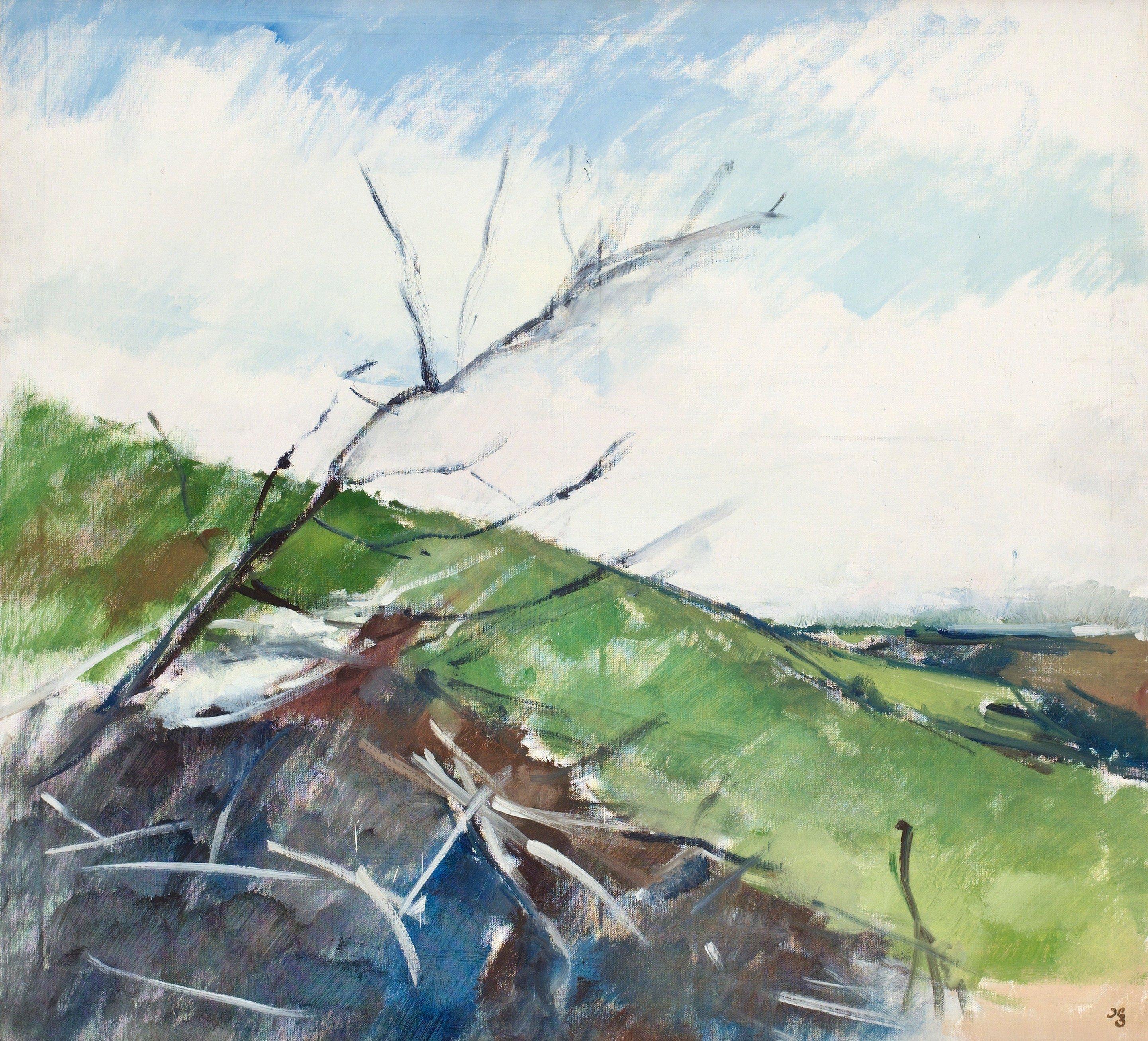 Hugo Zuhr - Coastline