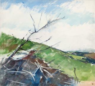 Hugo Zuhr - Coastline