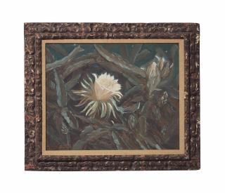 Huguette Clark - Cereus, night blooming cactus