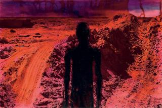 Huma Bhabha - Untitled