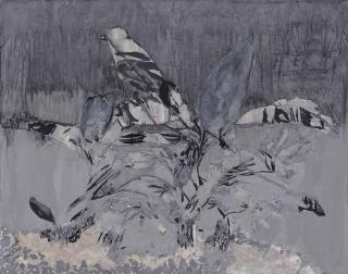 Hurvin Anderson - Plant Study