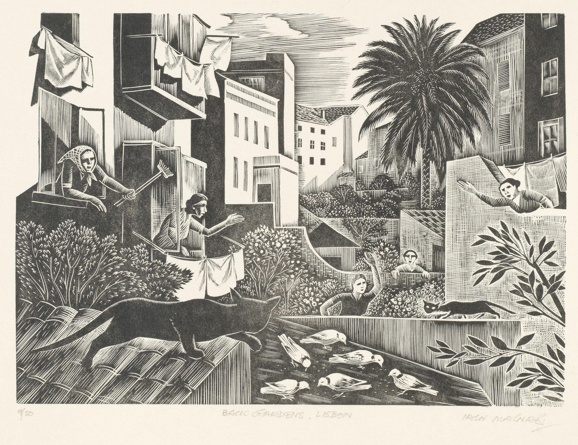 Iain Macnab - Back Gardens, Lisbon