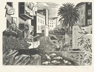 Iain Macnab - Back Gardens, Lisbon