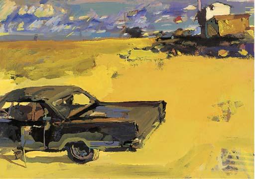 Ian D. Cook - Car in a cornfield