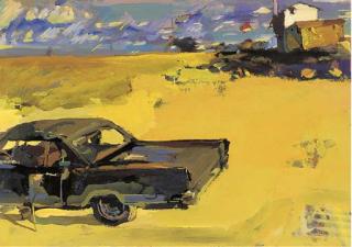 Ian D. Cook - Car in a cornfield