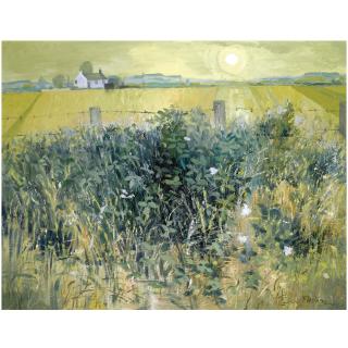 Ian Fleming R. S. A - Landscape, Yellow Theme