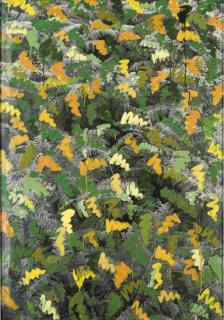 Ian McKeever - Islands 9B