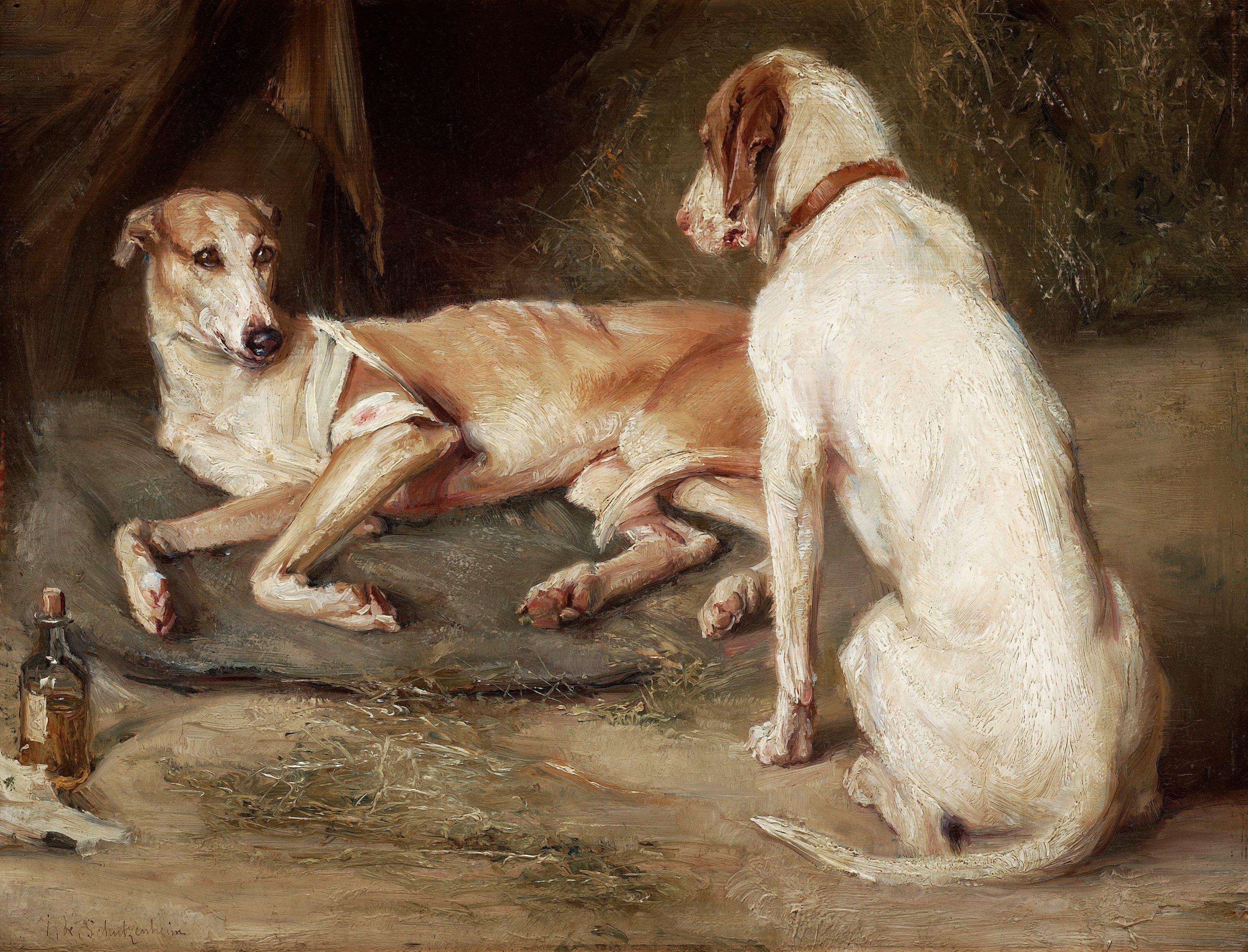 Ida von Schulzenheim - Braque du Bourbonnais et Lèvier Anglais