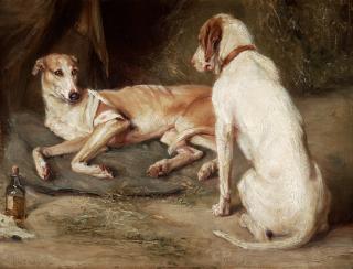 Ida von Schulzenheim - Braque du Bourbonnais et Lèvier Anglais