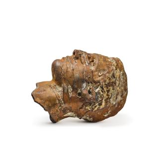 Igor Mitoraj - Tybris