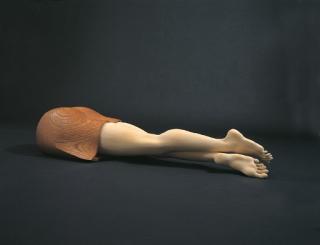 Ikki Miyake - Suashi-Kotoba XIII (fascination of legs)