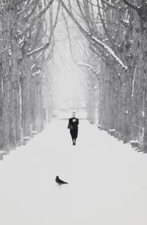 Ikko Narahara - Where Time has Stopped, Paris